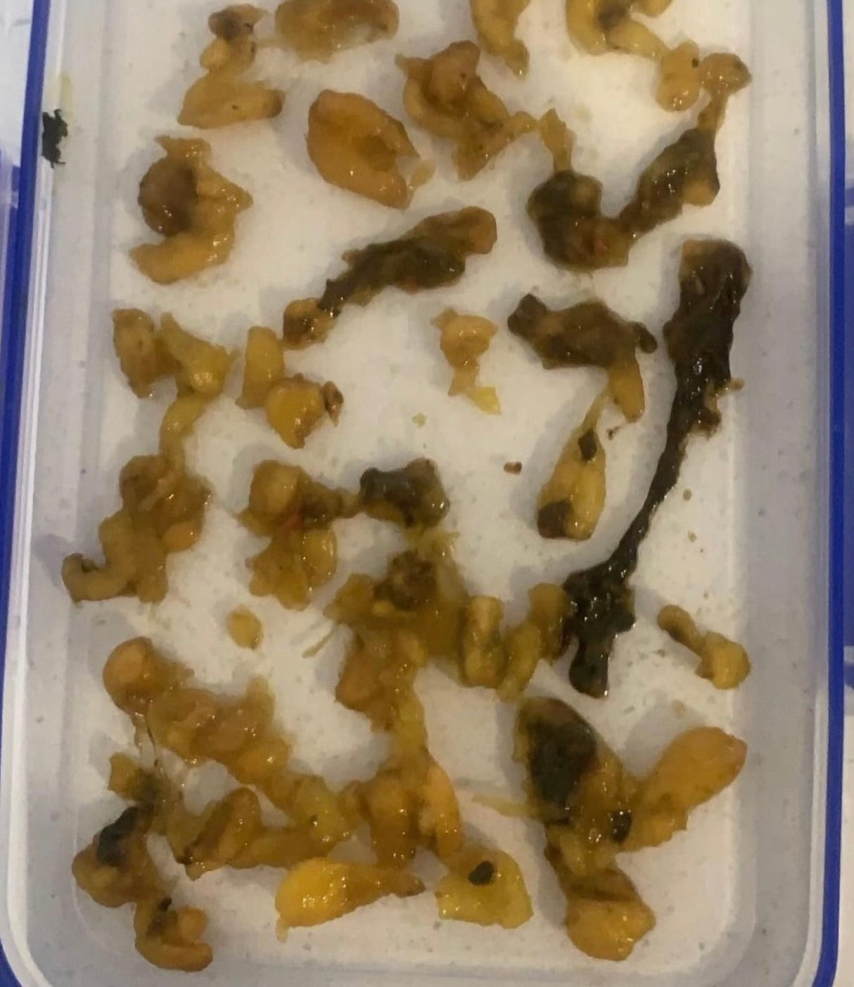 Fungal and Parasite Cleanse Guide (pdf)