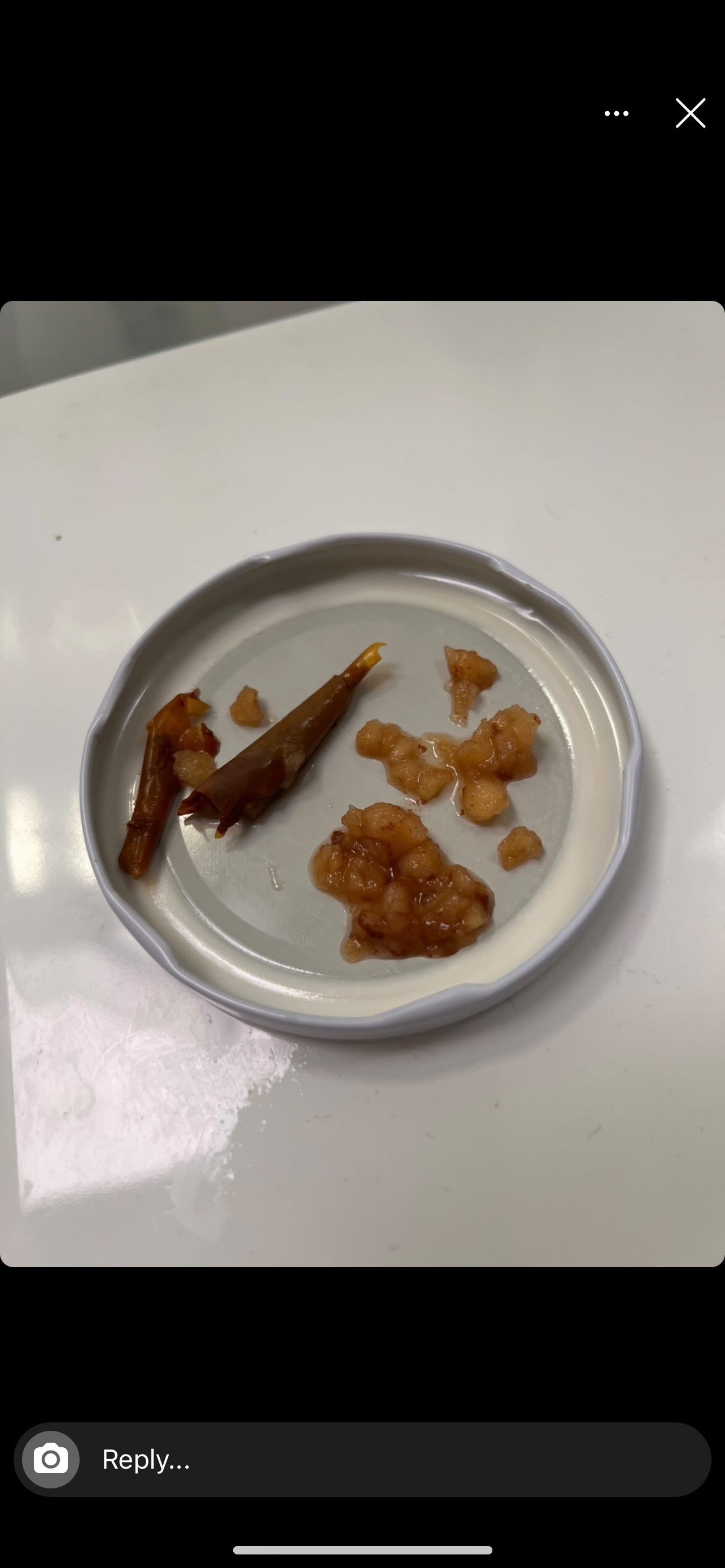 Fungal and Parasite Cleanse Guide (pdf)