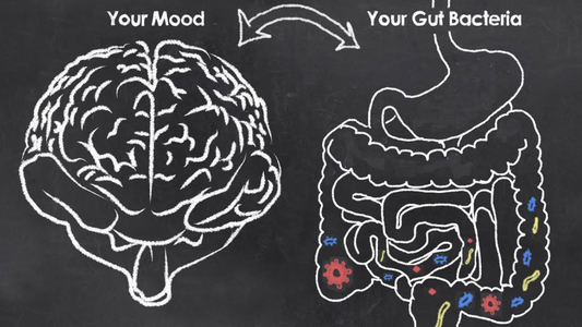 What Is gut health?
