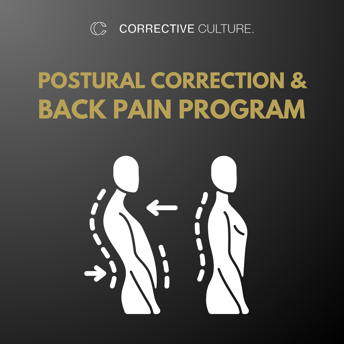 Posture Correction & Back Pain Program