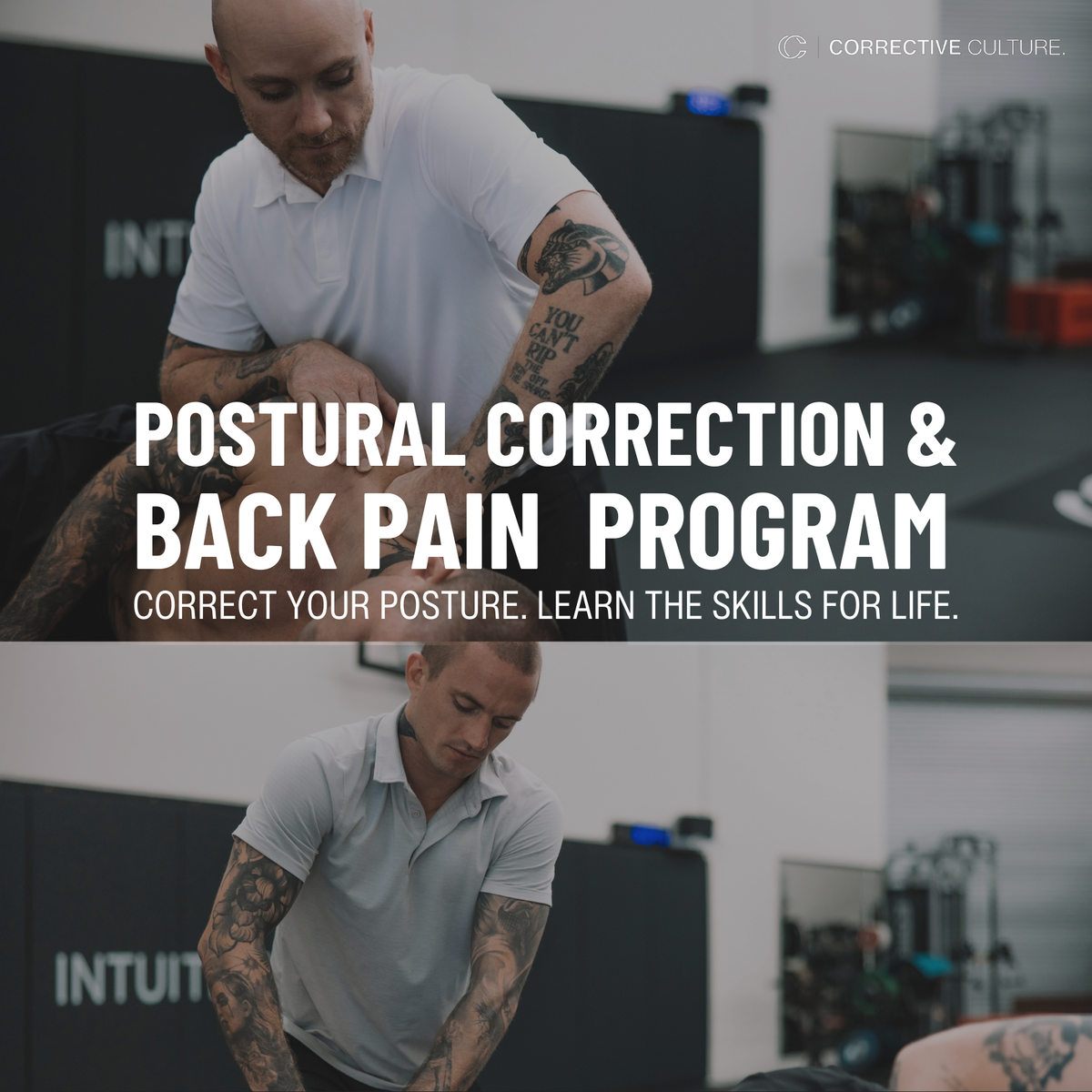 Posture Correction Program Posture Correction & Back Pain Program