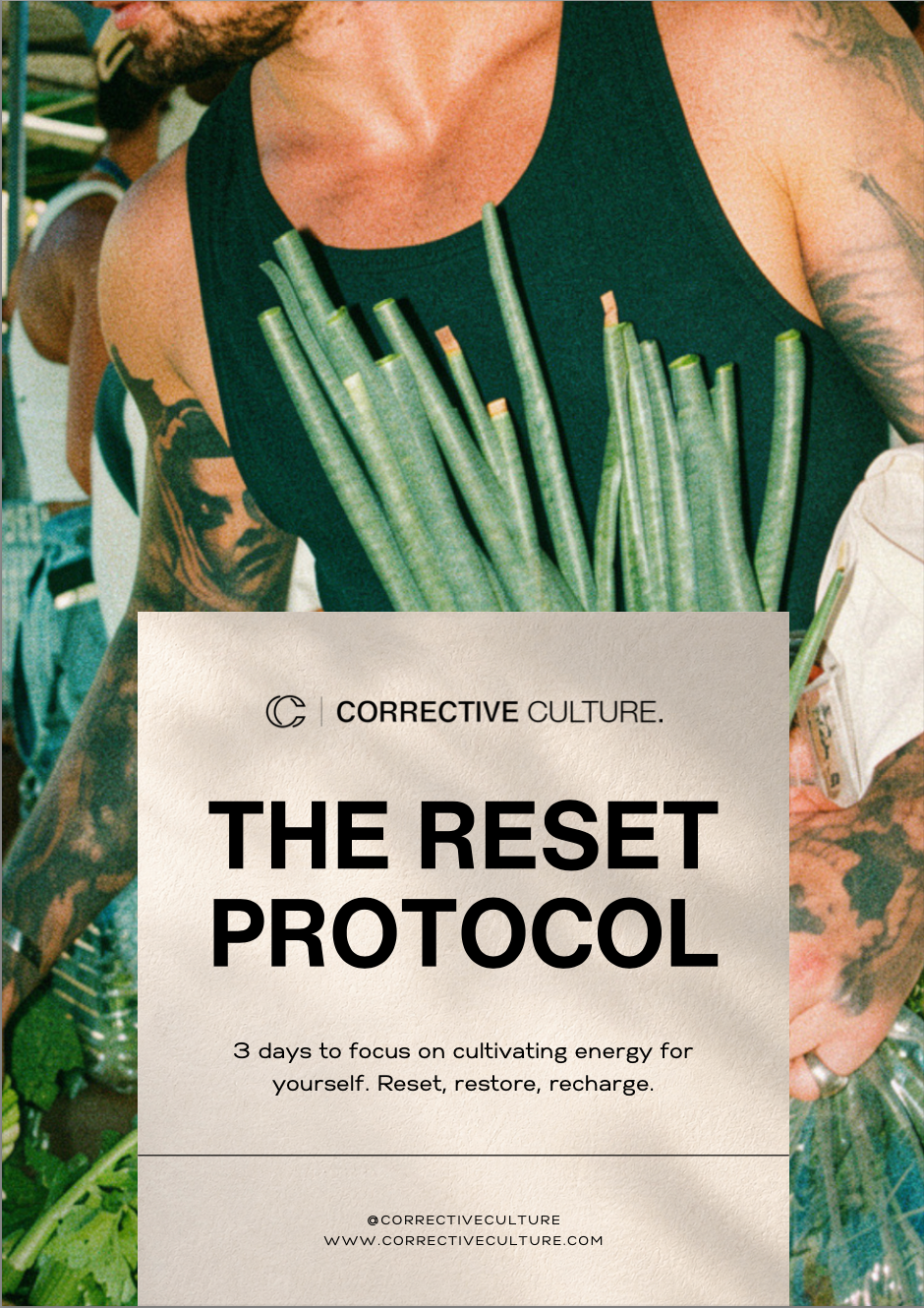 3 Day Reset