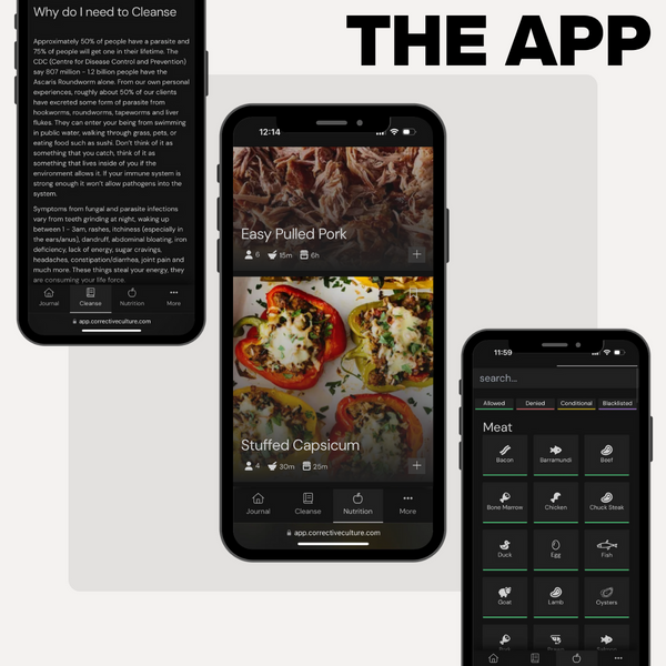 Corrective Culture App - 3 Month Start