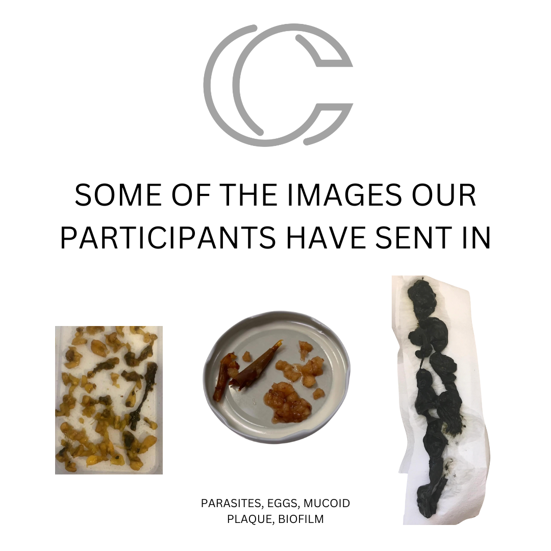 Parasite Guide Fungal and Parasite Cleanse Guide (PDF) | Corrective Culture