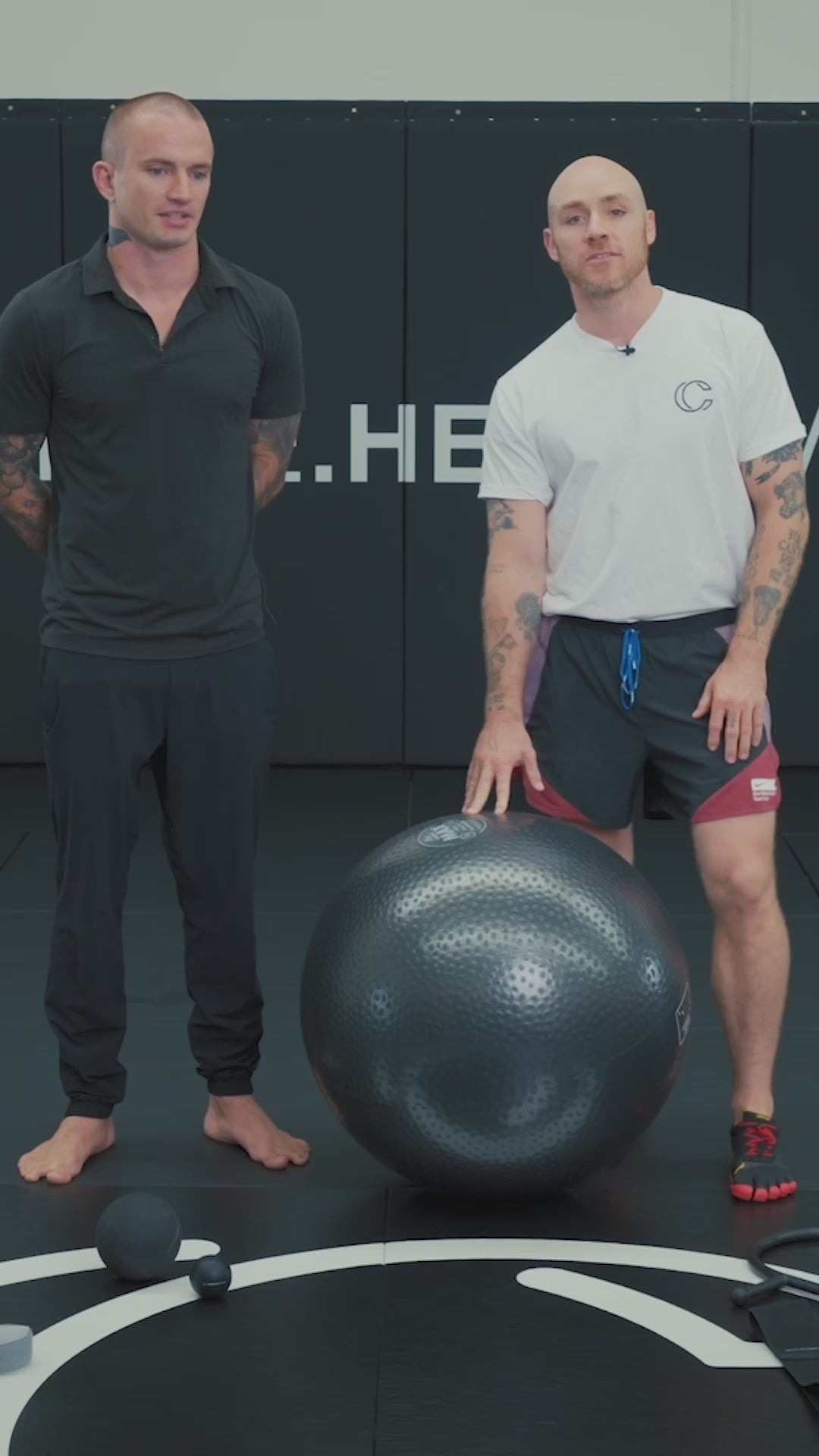 Posture Correction / Back Pain Course